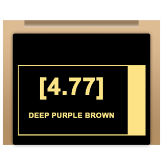 Insight Colour - 4/77 Deep Purple Brown 100ml