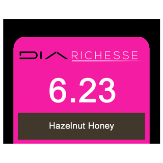 DIA RICHESSE 6/23 HAZELNUT HONEY